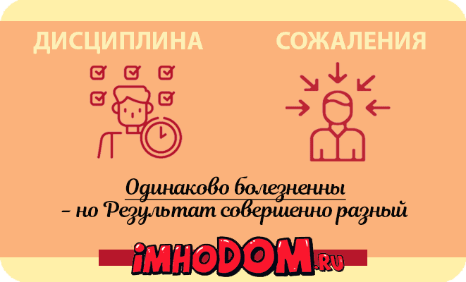 Дисциплина или Сожаление?