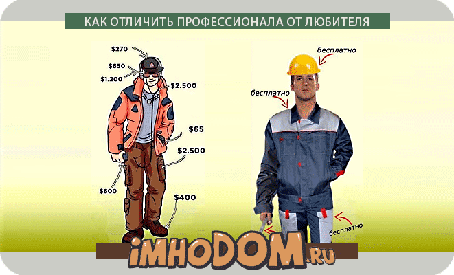 Профессионал или Любитель