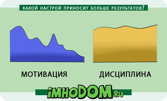 Мотивация или Дисциплина