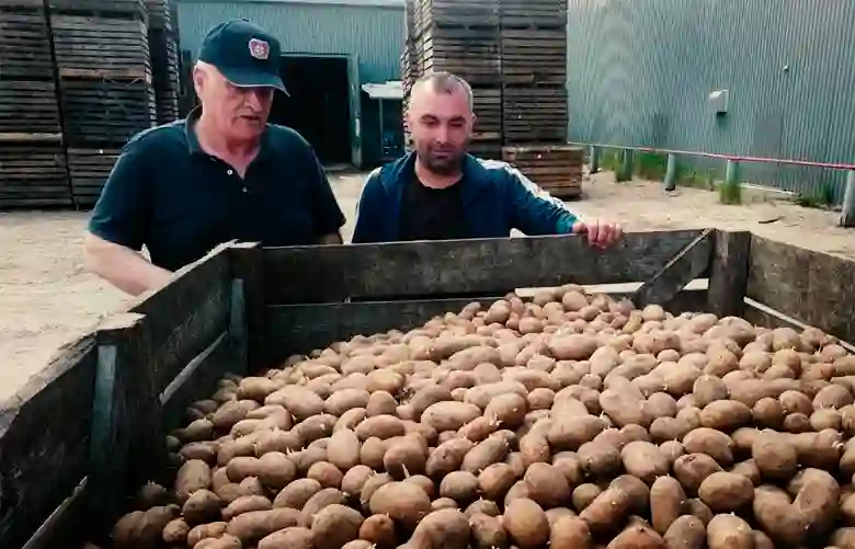 Съесть или Посадить?